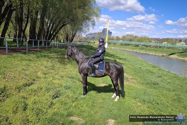 Konne patrole policji na rzeszowskich bulwarach