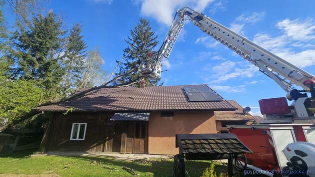 Silny wiatr na Podkarpaciu - 28 kwietnia 2026