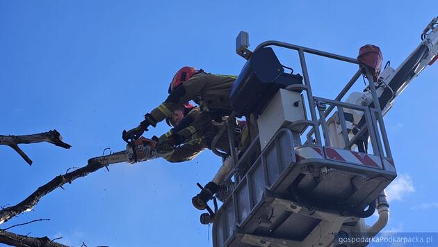 Silny wiatr na Podkarpaciu - 28 kwietnia 2026