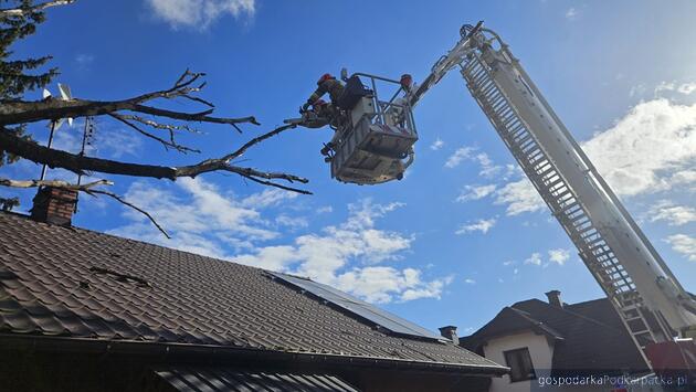 Silny wiatr na Podkarpaciu - 28 kwietnia 2026