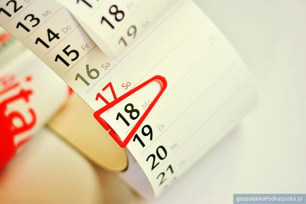 Fot. ilustracyjne (pixabay/CC0)