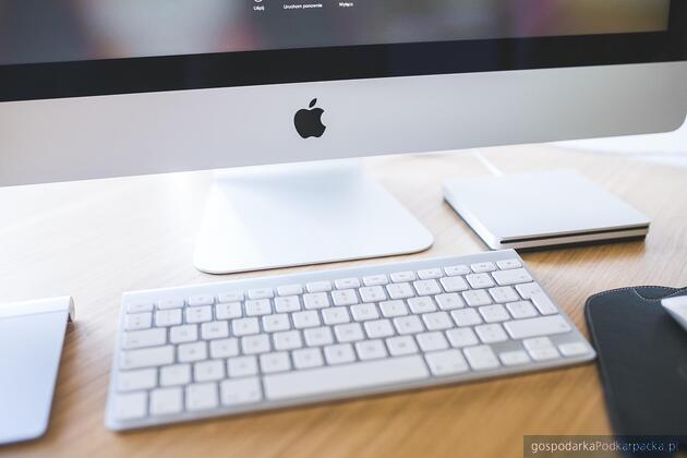 Fot. ilustracyjne (pixabay/CC0)