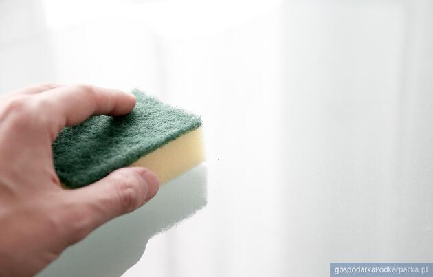 Fot. ilustracyjne (pixabay/CC0)