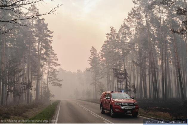 Fot. Arkadiusz Sosnowski/PSP