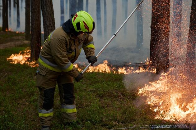 Strażacy z Podkarpacia walczą z wielkim pożarem w Puszczy Solskiej 