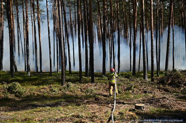 Strażacy z Podkarpacia walczą z wielkim pożarem w Puszczy Solskiej 