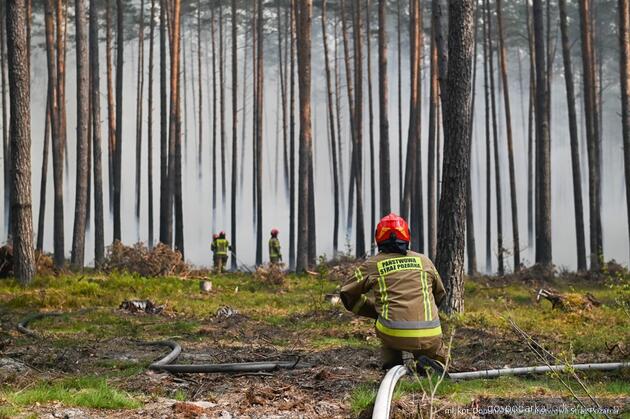 Strażacy z Podkarpacia walczą z wielkim pożarem w Puszczy Solskiej 