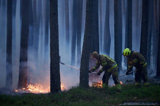 Prawie 1000 hektar&oacute;w objął pożar las&oacute;w na pograniczy Podkarpackiego i Lubelskiego 