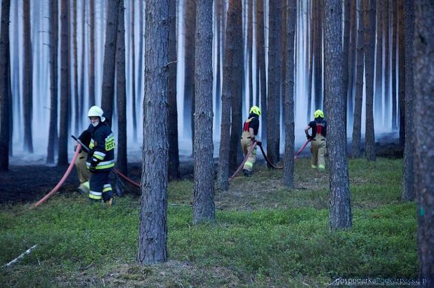 Prawie 1000 hektar&oacute;w objął pożar las&oacute;w na pograniczy Podkarpackiego i Lubelskiego 