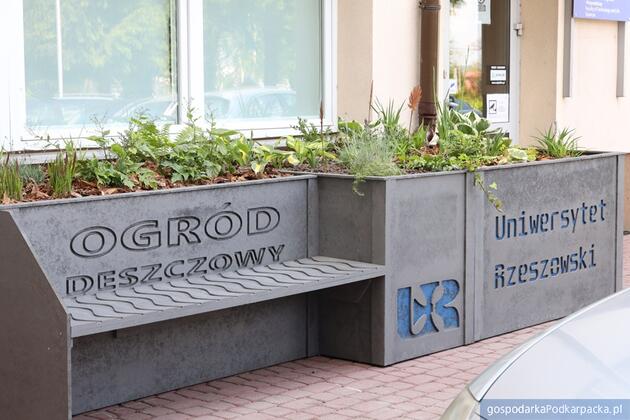 Fot. Uniwersytet Rzeszowski