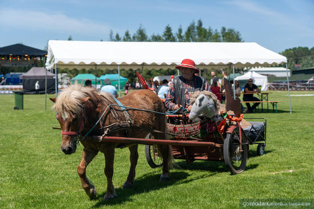 XVIII Targi Żywności Tradycyjnej &bdquo;Festiwal Podkarpackich Smak&oacute;w&rdquo;