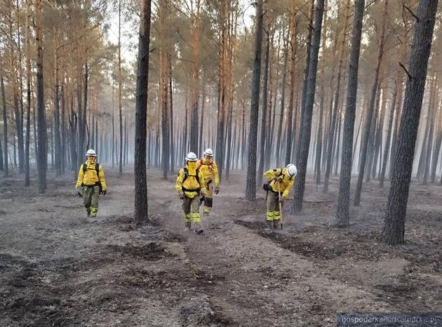 Podkarpaccy strażacy gaszą pożary pod Wołominem i Mińskiem
