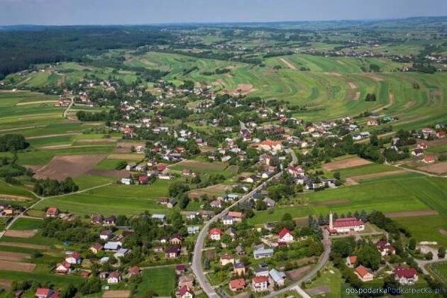 Znaleziono martwe płody i odpady medyczne. Zatrzymanie lekarski