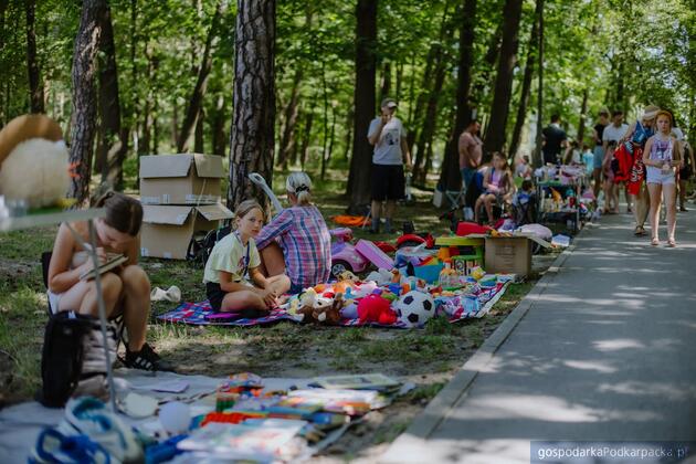 Jarmark Młodego Przedsiębiorcy w Stalowej Woli