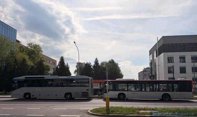 Autobusy PKS Rzeszów i MPK Rzeszów
