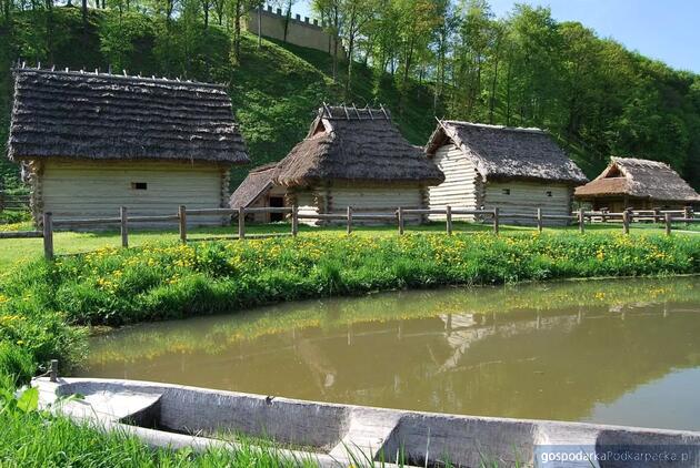 Karpacką Troję w Trzcinicy czeka kolejny remont