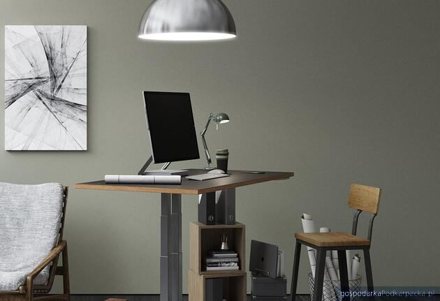 test Fot. ilustracyjne (pixabay/CC0)