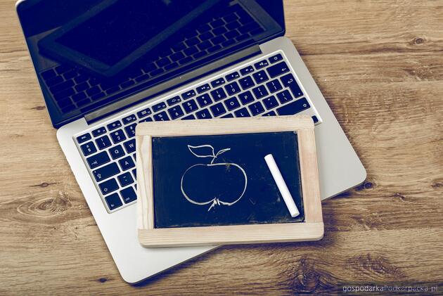 test Fot. ilustracyjne (pixabay/CC0)