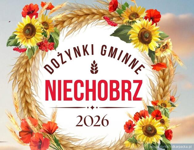 test Dożynki Gminy Boguchwała w Niechobrzu