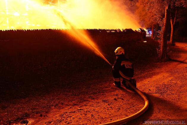 Fot. mł. bryg. K. Adamczyk / Państwowa Straż Pożarna