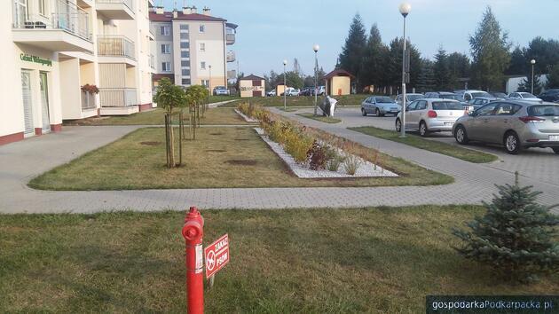 Fot. TBS Boguchwała