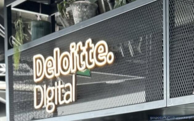 Oferty pracy w Deloitte - sierpień/wrzesień 2026