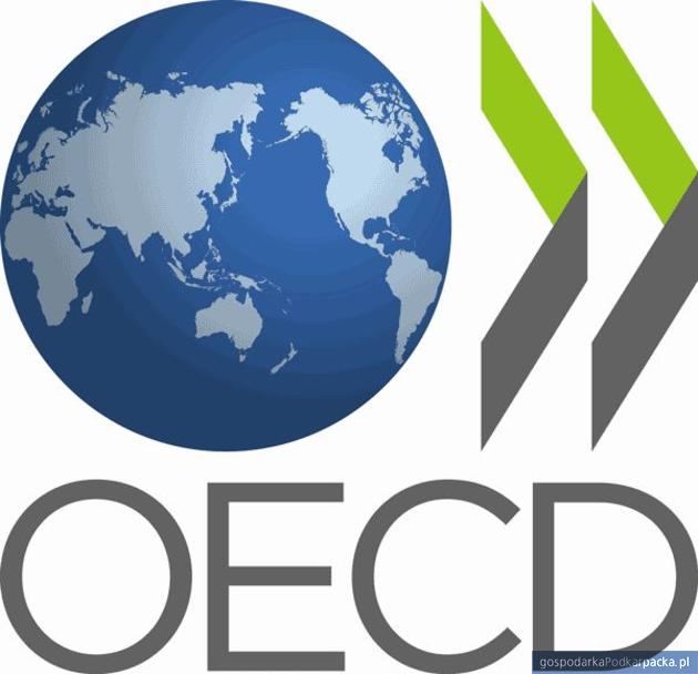 test Raport OECD: Polska gospodarka potrzebuje uproszczenia podatków i przyspieszenia prywatyzacji