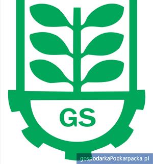 test GS Logo